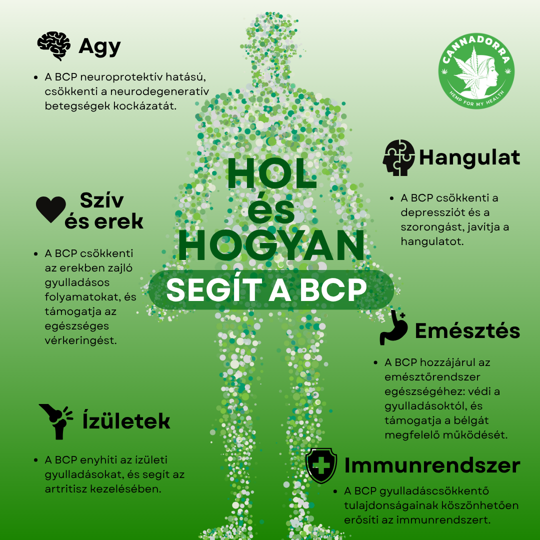 kdeajakBCP - HU